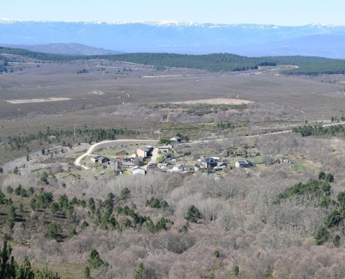 linarejos
