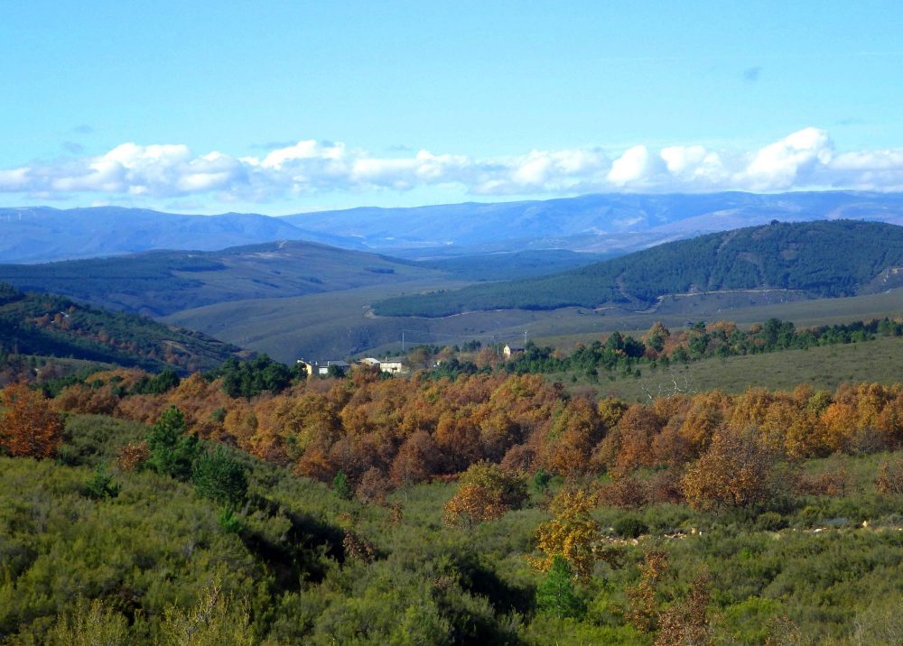 Sierra de la Culebra paisaje