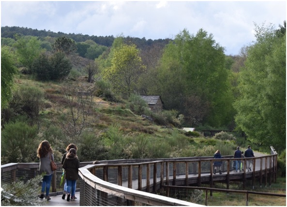 centro del lobo robledo sanabria