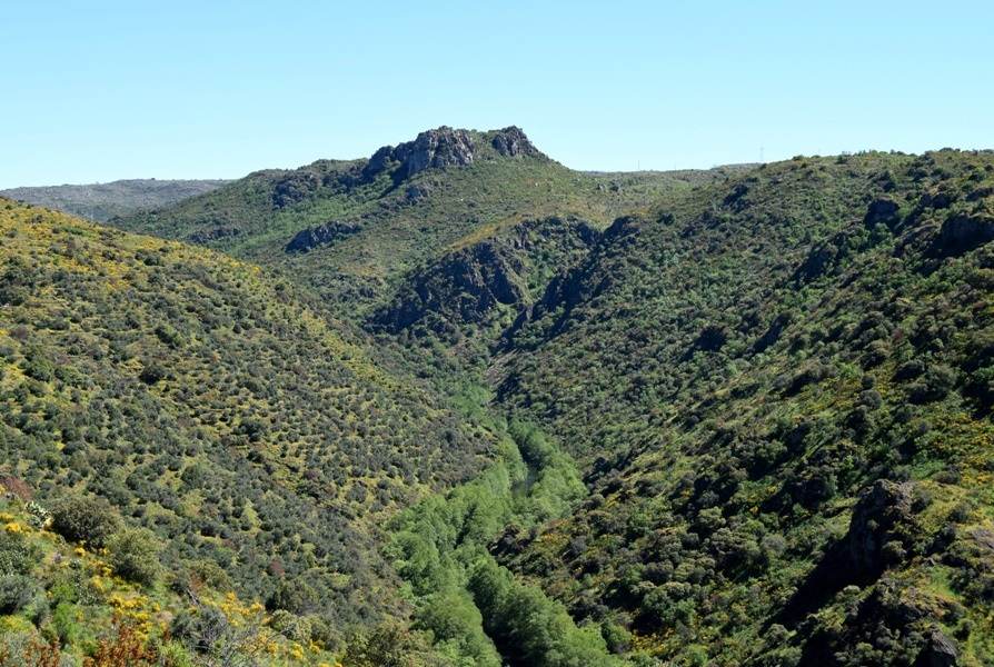 fermoselle arribes paisaje