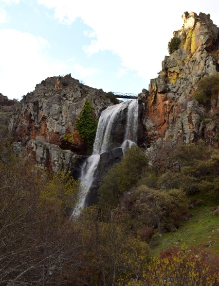Faia da Agua Alta