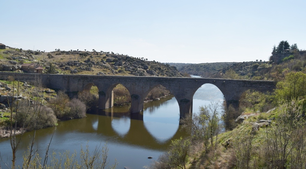 puente ledesma
