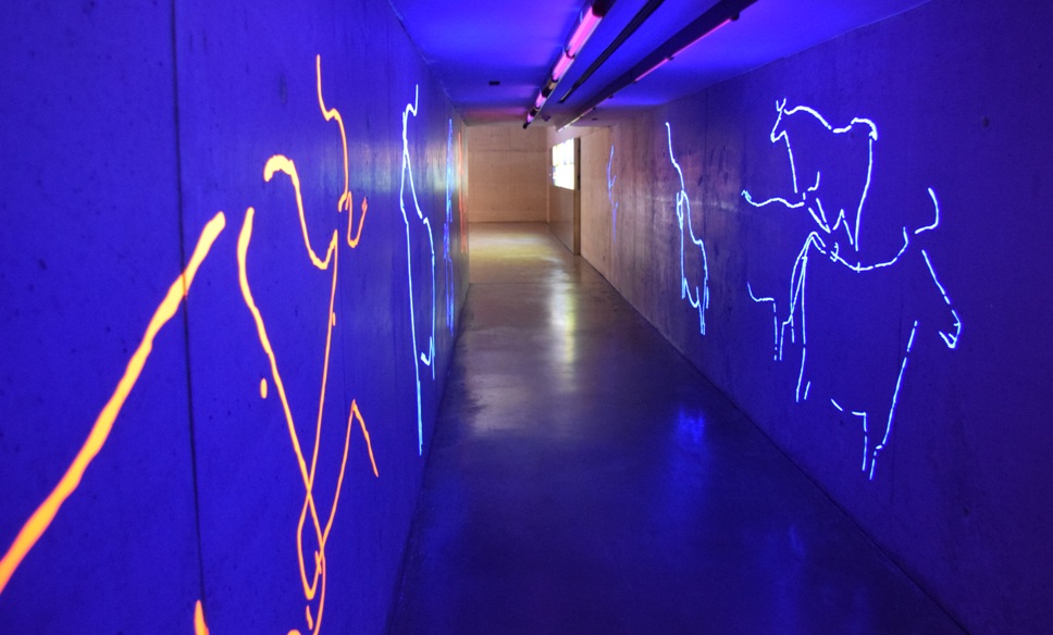 Museo del Coa