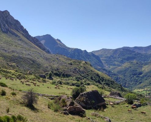 parque natural de somiedo