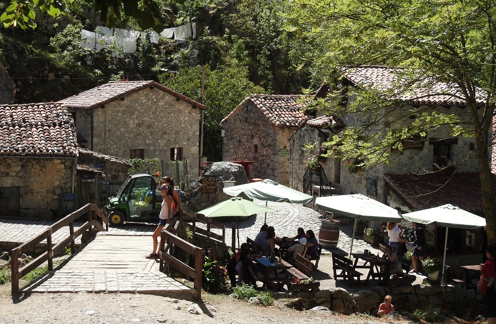 visita guiada a picos de europa