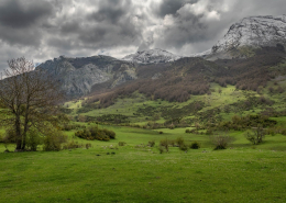 tour_riaño