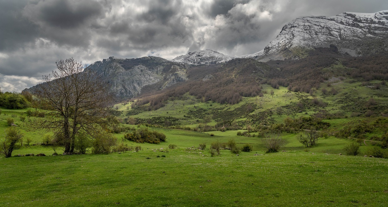tour_riaño